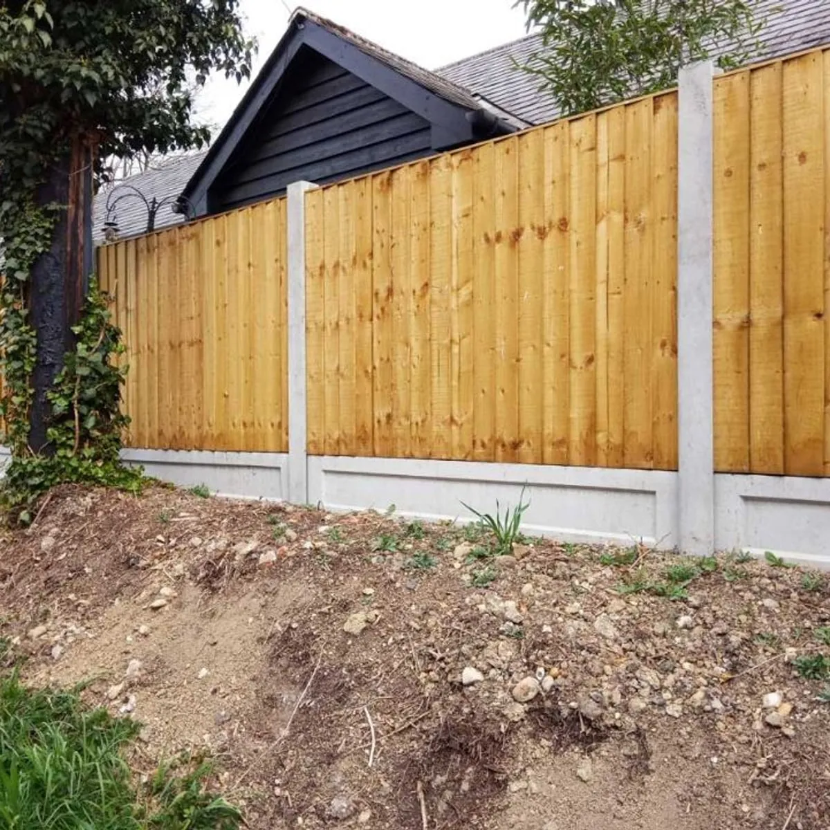 New close board fencing along a garden boundary