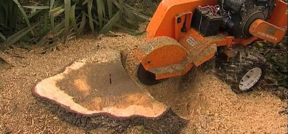 Stump Grinding in Whitchurch & North Shropshire