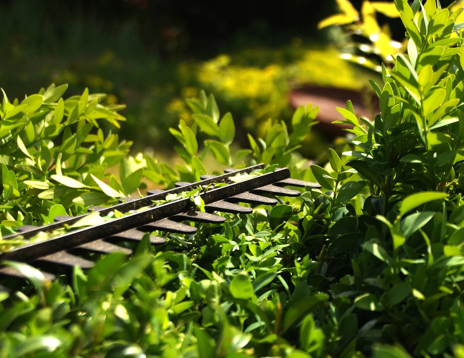 Hedge Cutting by JR Landscapes & Driveways