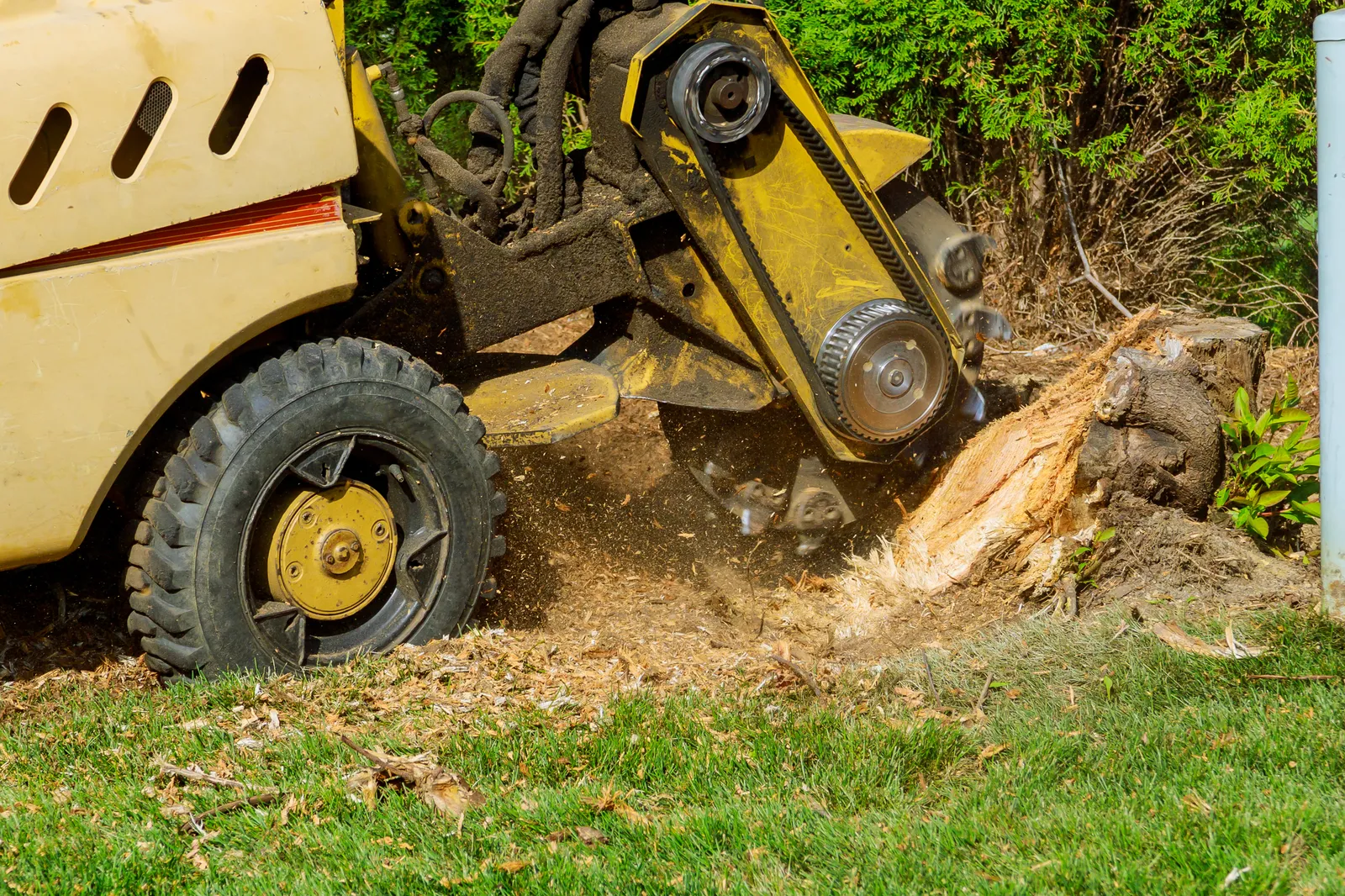Stump Grinding by JR Landscapes & Driveways